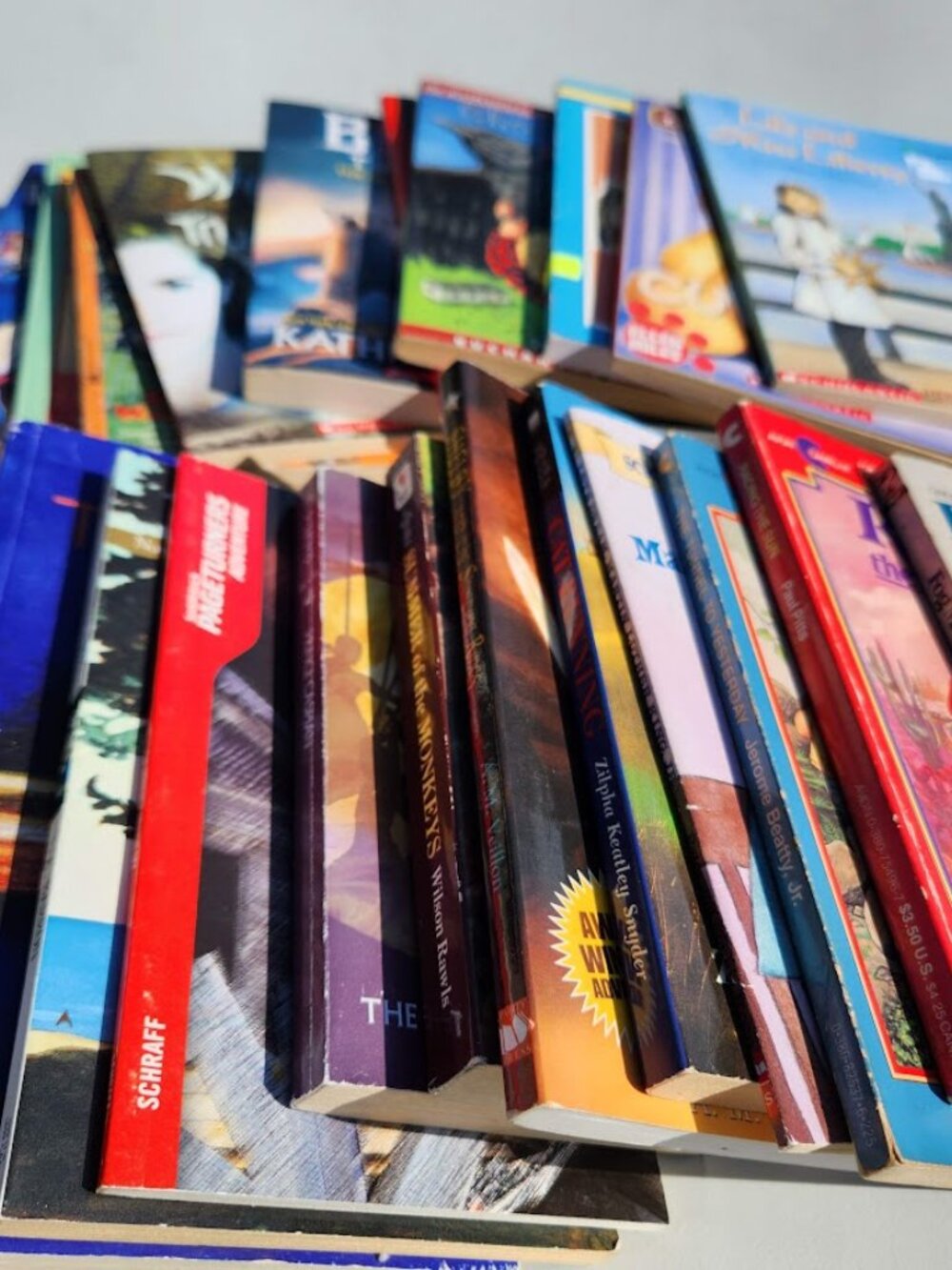 4 Book Bundle Lot Set Chapter Books Young Adult Literature Novels Mystery Books - Picture 5 of 16
